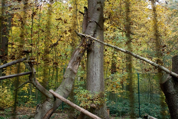 zoo wiesbaden