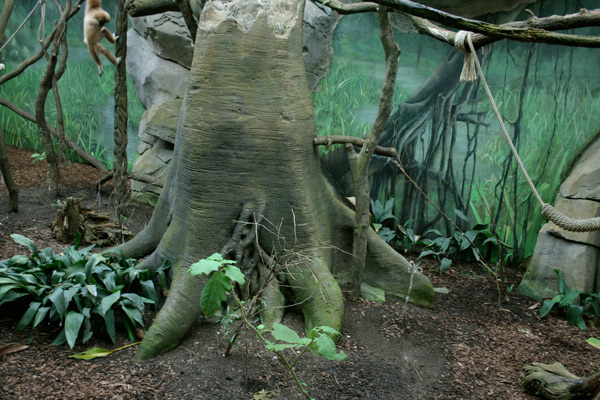 zoo köln