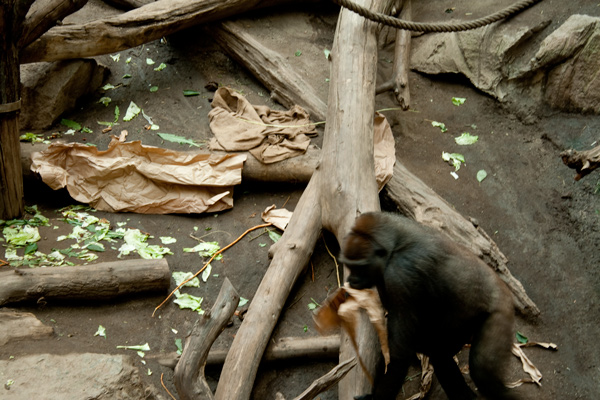 zoo der zukunft